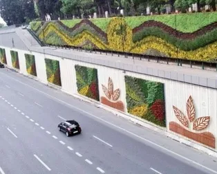 Dikey bahçeler dünyanın tercihi!