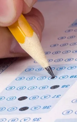 LYS sonuçları açıklandı