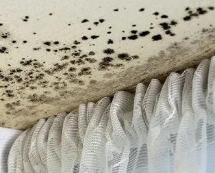 Rüyada küf görmek ne anlama gelir?