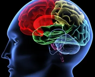 Bu yiyecekler beyin geliştiriyor!