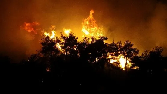 Bursa'da orman yangını!-1