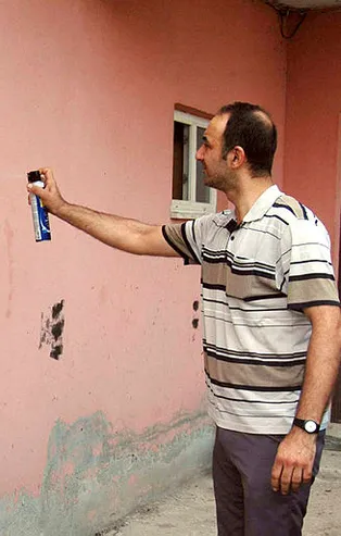 Tekirdağ'da bir mahalleyi böcekler istila etti