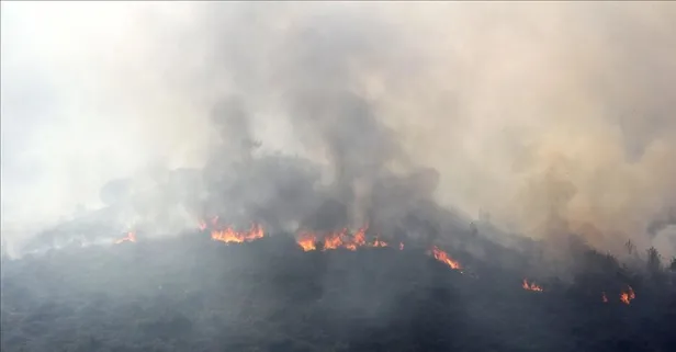 Mersin'de orman yangını!