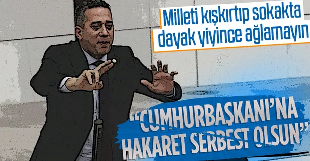 CHP'li vekil Ali Mahir Başarır'dan "Cumhurbaşkanı'na hakaret serbest olsun" teklifi