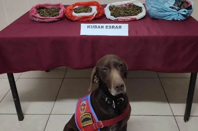'Manken' otomobildeki esrarı buldu; 4 gözaltı