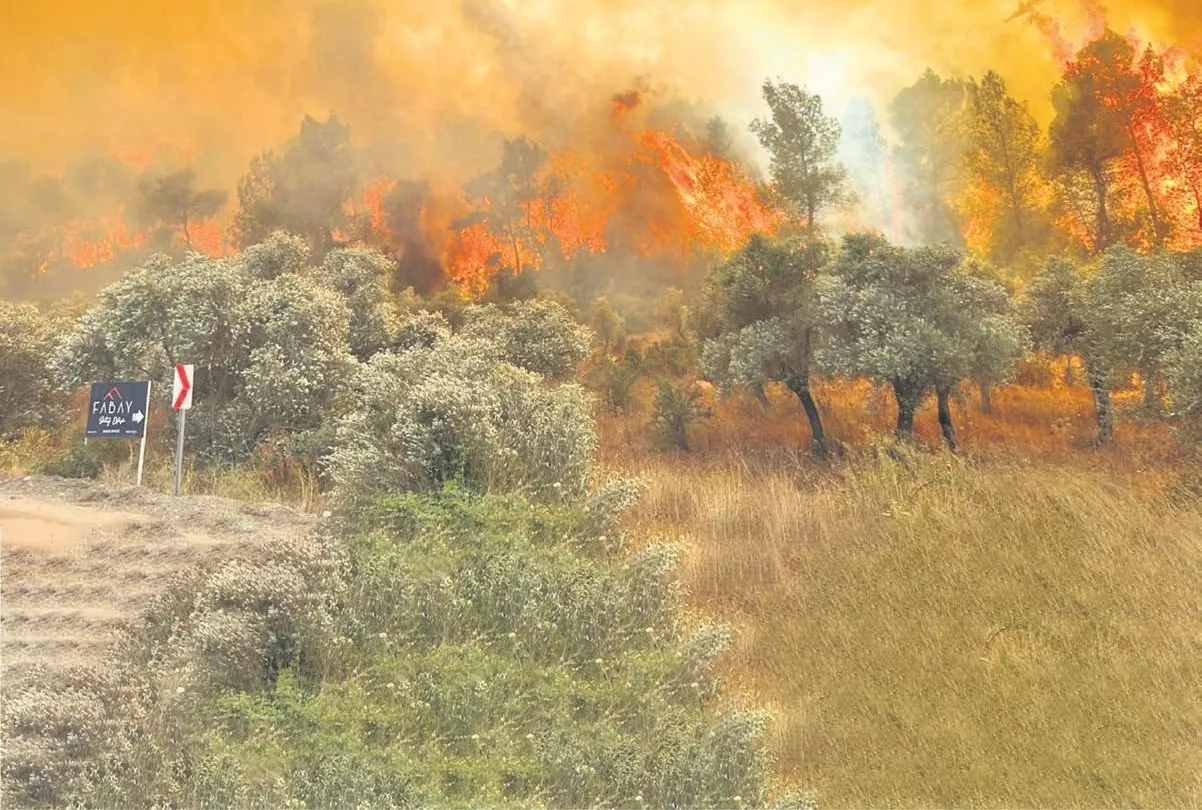 Cehalet değil ihanet