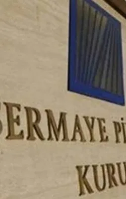 SPK Başkanı Taşkesenlioğlu oldu