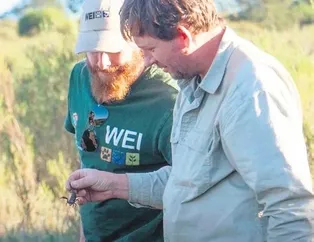 AKREBIN PEŞINDE 10 BIN KILOMETRE