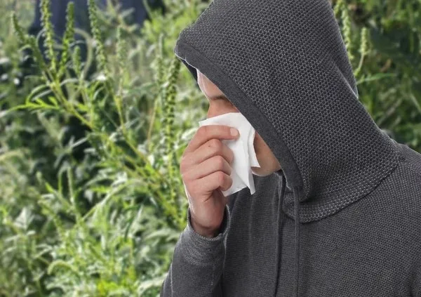 1779478234588.jpeg Uzmanından anne babalara uyarı: Türkiye'de her 3 çocuktan biri bahar alerjisi hastası-3