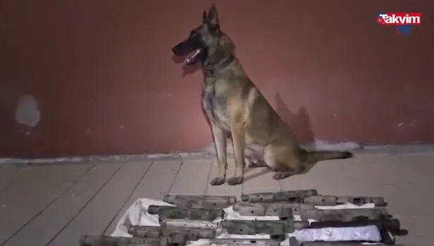 24 ilde düğmeye basıldı! "Tümör" operasyonu başlatıldı
