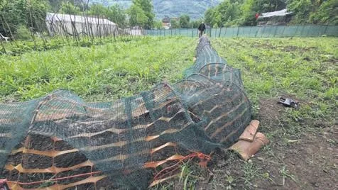 Mersin'de 5 katlı binanın çatısından sarkan bir kişi yürekleri ağza getirdi (Yaşam haberleri)-6