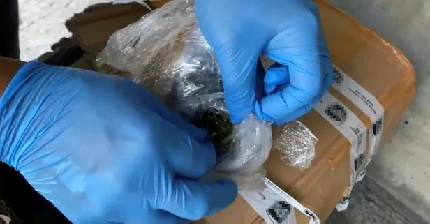 Kargodan zehir çıktı! Tam 48 kilo 500 gram...