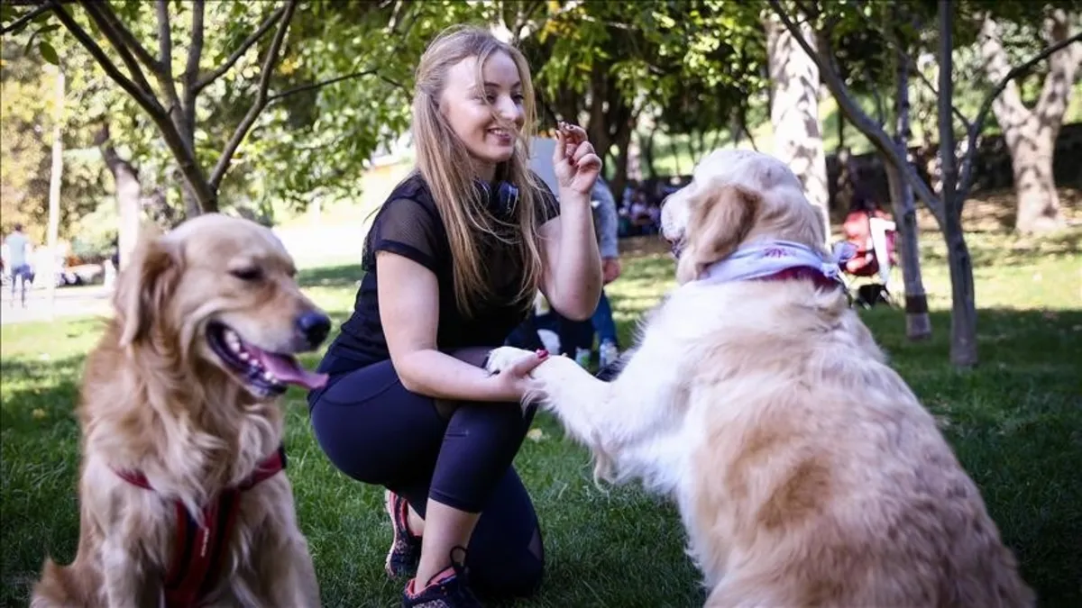 Aileyi yok eden tehlike: Çocuğun yerini köpek aldı