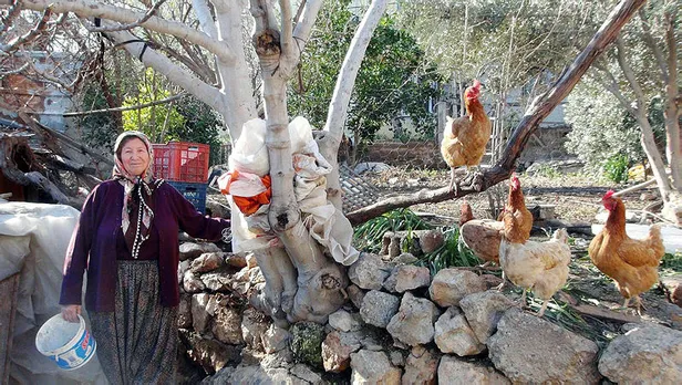 Bu tavuğun yumurtası tam bin lira!-2