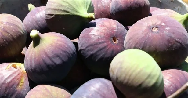 10 kat alan tasarrufu sağladı