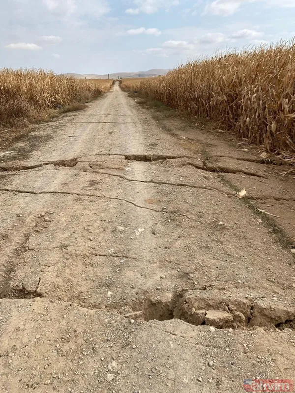 Karaman'da tarla yolunda korkutan yarıklar! - 10