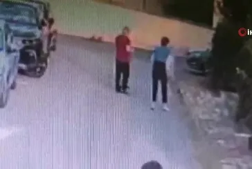 Kangal köpeği başka bir köpeği parçaladı! Sahibi kalp krizi geçirdi