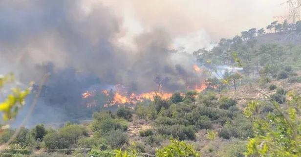 Son dakika: Mersin Yenişehir'de otları tutuşturarak yangın çıkartan zanlı tutuklandı