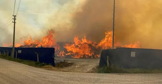 Afyonkarahisar'da biyokütle enerji santralinde yangın!