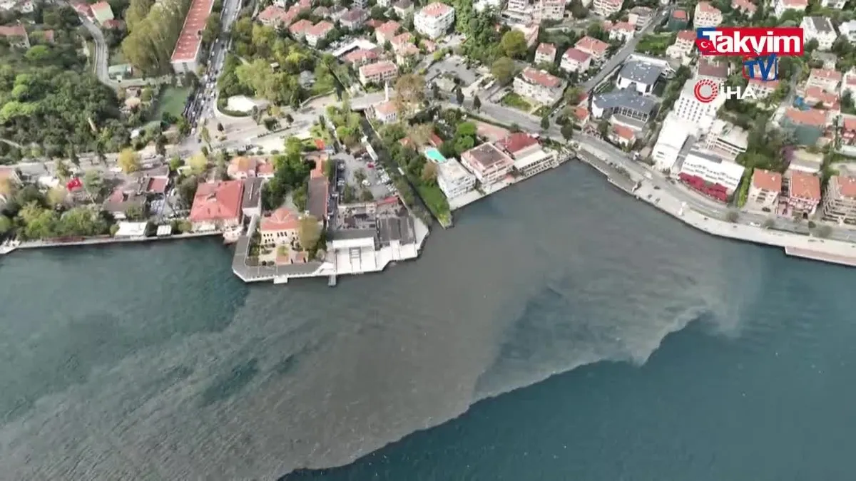 İstanbul Boğazı'na kanalizasyon suyu akıyor!