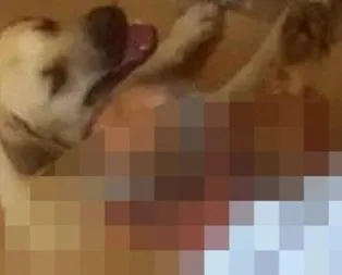 pornoam yalama liseli faişe