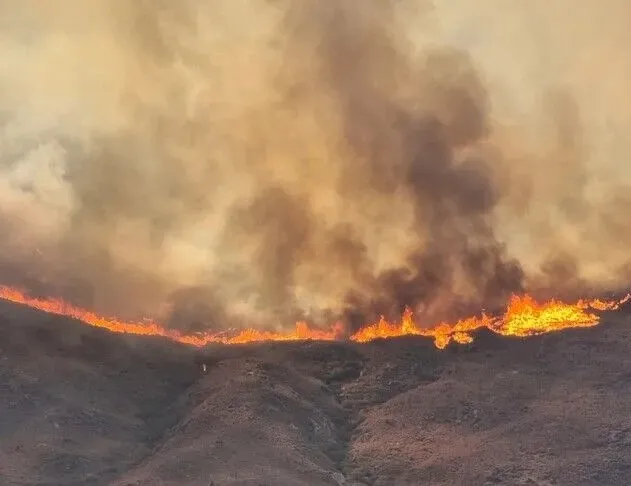 Avrupa alev alev yanıyor! Fransa’da yangın felaketi nedeniyle 10 bin kişi tahliye edildi: 7 vilayette kırmızı alarm
