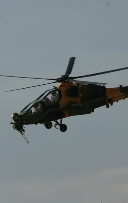Jandarma ve Emniyet'ten atak!