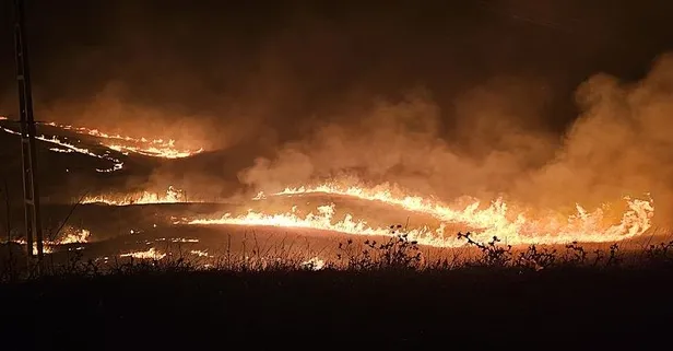 Siirt'te Kezer Çayı mevkisinde çıkan yangın kontrol altına alındı