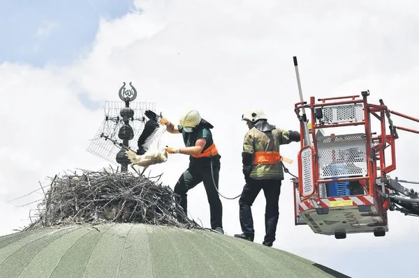 Oyun oynarken kaybolan Ecrin'in cansız bedeni 32 saat sonra derede bulundu (Yaşam haberleri)-8