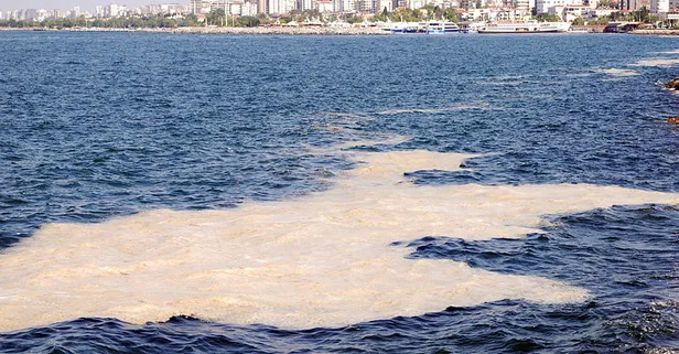 Son dakika: Marmara'da müsilaj seferberliği! Ne kadar müsilaj temizlendi? Bakan Kurum'dan flaş açıklama!