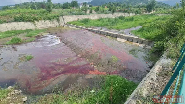 Kocaeli Gölcük ve Karamürsel'de kurban kanları derelere aktı! Suyun rengi kırmızıya döndü - 14