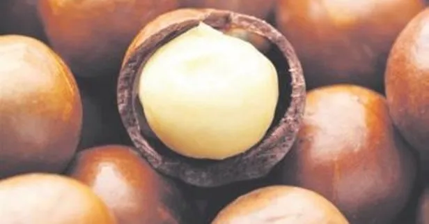 Hamileler fındık yesin