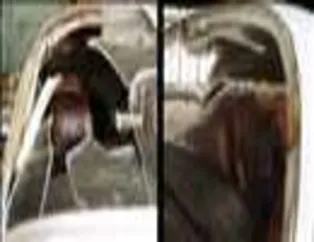 Kuşlar uçaklara çarparsa...