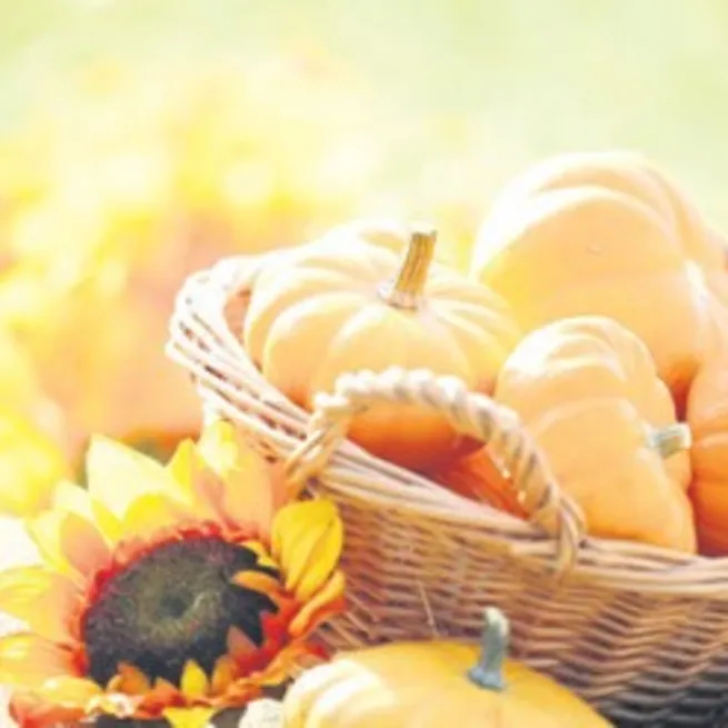 Kansersavar balkabağı