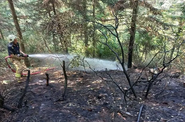 Son dakika: Aydos Ormanı'da yangın paniği! Yine sabotaj şüphesi
