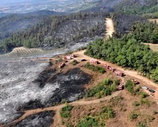 Zarar gören alan bir yıl içinde yenilenecek