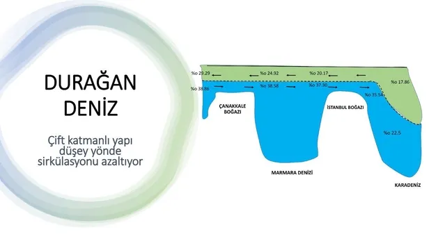 deniz-salyasi-gercekleri-temel-atmama-degil-yuzlerce-temel-atma-ister-1623450613193.jpeg 'Deniz salyası' gerçekleri: 'Temel atmama' değil yüzlerce 'temel atma' ister!-6