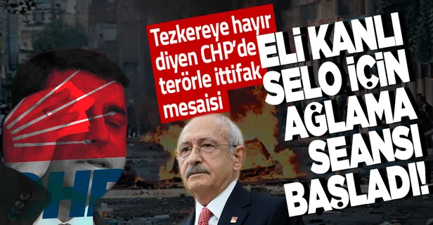 Tezkereye 'hayır' oyu veren CHP'nin il örgütleri HDPKK için ağlıyor: Selahattin Demirtaş serbest bırakılmalı