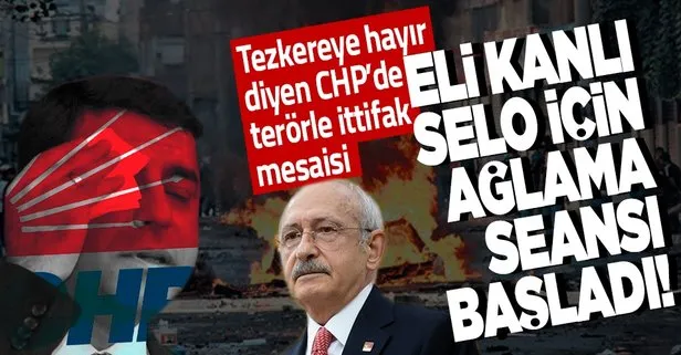 Tezkereye ’hayır’ oyu veren CHP’nin il örgütleri HDPKK için ağlıyor: Selahattin Demirtaş serbest bırakılmalı