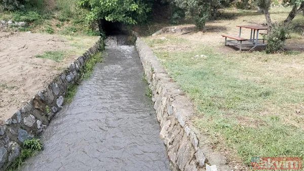 Kocaeli Dilovası'nda kömür tozları dereye aktı! İzmit Körfezi simsiyah oldu - 8