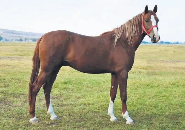 Kelebekler Vadisi'ndeki vahşetin sırrı poliçede! (Yaşam haberleri)-11