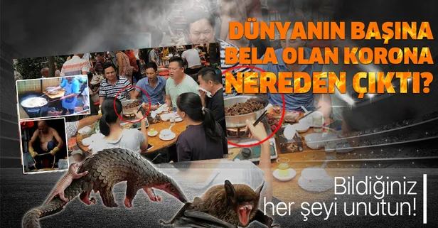 Son dakika: Bilim insanları ilk kez açıkladı! Koronavirüsle ilgili bildiğiniz her şeyi unutun! Corona virüs nerede ortaya çıktı?
