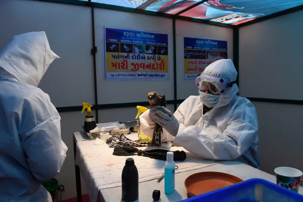 koronavirus-mutasyona-ugramis-koronavirus-derken-simdi-de-kus-gribi-japonyada-58-milyon-kumes-hayvani-itlaf-edildi-1610958290117.jpg Koronavirüs ve mutasyona uğramış koronavirüs derken şimdi de kuş gribi! Japonya'da 5.8 milyon kümes hayvanı itlaf edildi-8