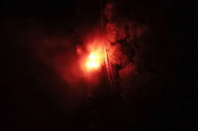 İstanbul Ataşehir'de ormanlık alanda araç yangını