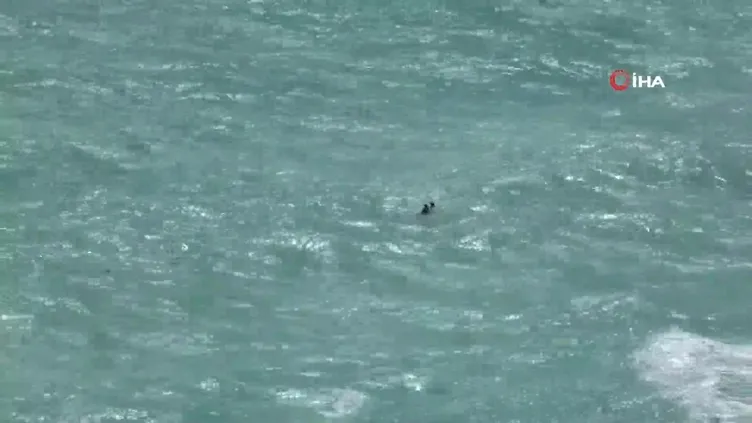 Antalya'da can pazarı: Dev dalgalara aldırış etmeden denize giren genç insansız cankurtaran robotuyla kurtarıldı! O anlar kamerada!