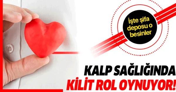 Bu Besinler Kalp Sagliginda Kilit Rol Oynuyor Kalbe Iyi Gelen Besinler Neler Takvim
