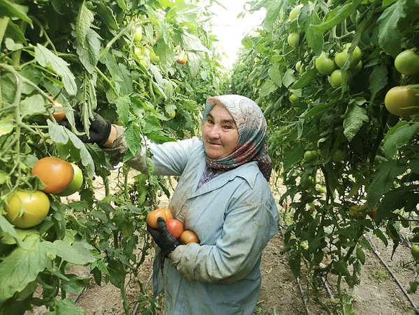 Suudi Arabistan'dan Çin'e Rusya'dan Almanya'ya tüm ülkeler sıraya girdi! Denizli'de üretiliyor! Tam 1.6 kilo...-3