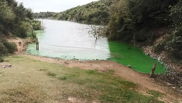 Son dakika: Eyüpsultan'da korkutan görüntü: Şahintepe Gölü'ne kimyasal atık boşalttılar-4