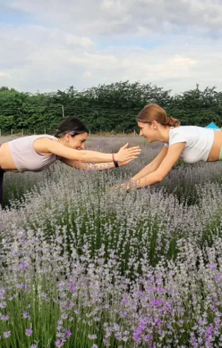 Edirne'de lavanta tarlasında yoga