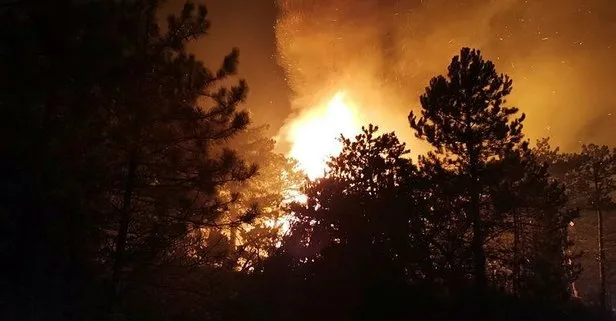 Ankara’da orman yangınına müdahale sürüyor
